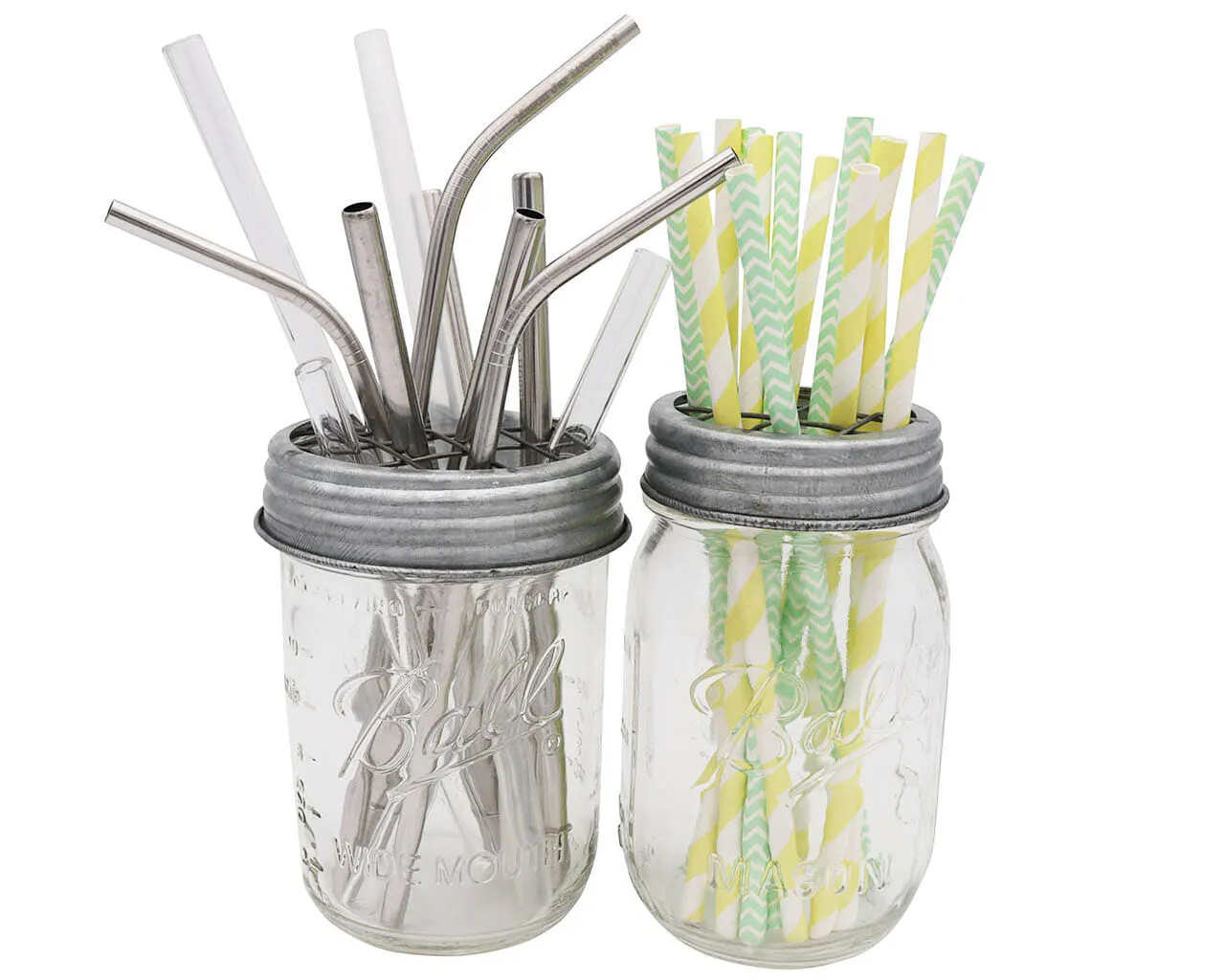 Galvanized Metal Flower Organizer Frog Lid for Mason Jars