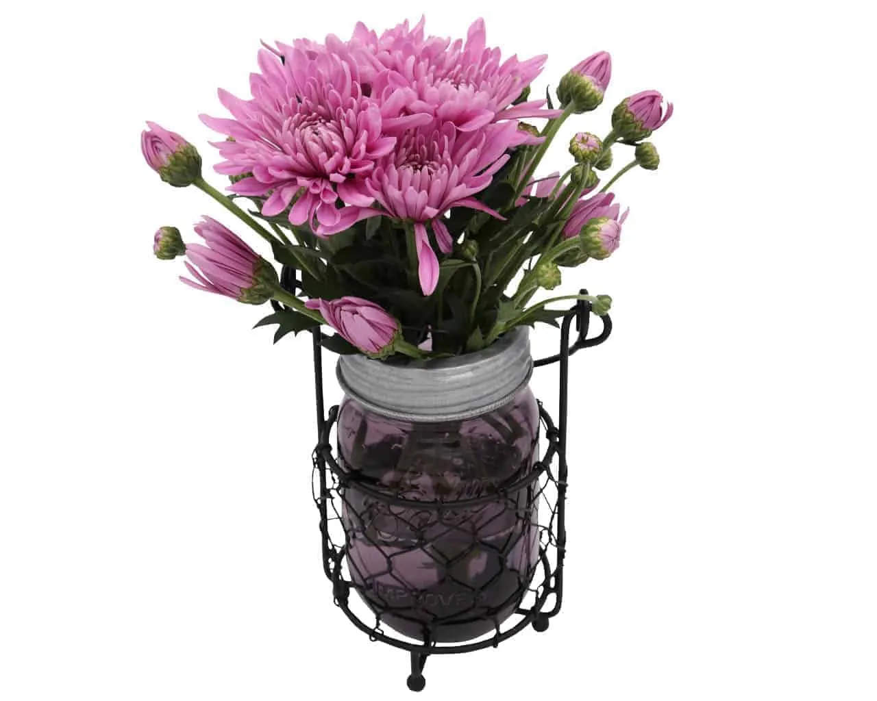 Galvanized Metal Flower Organizer Frog Lid for Mason Jars