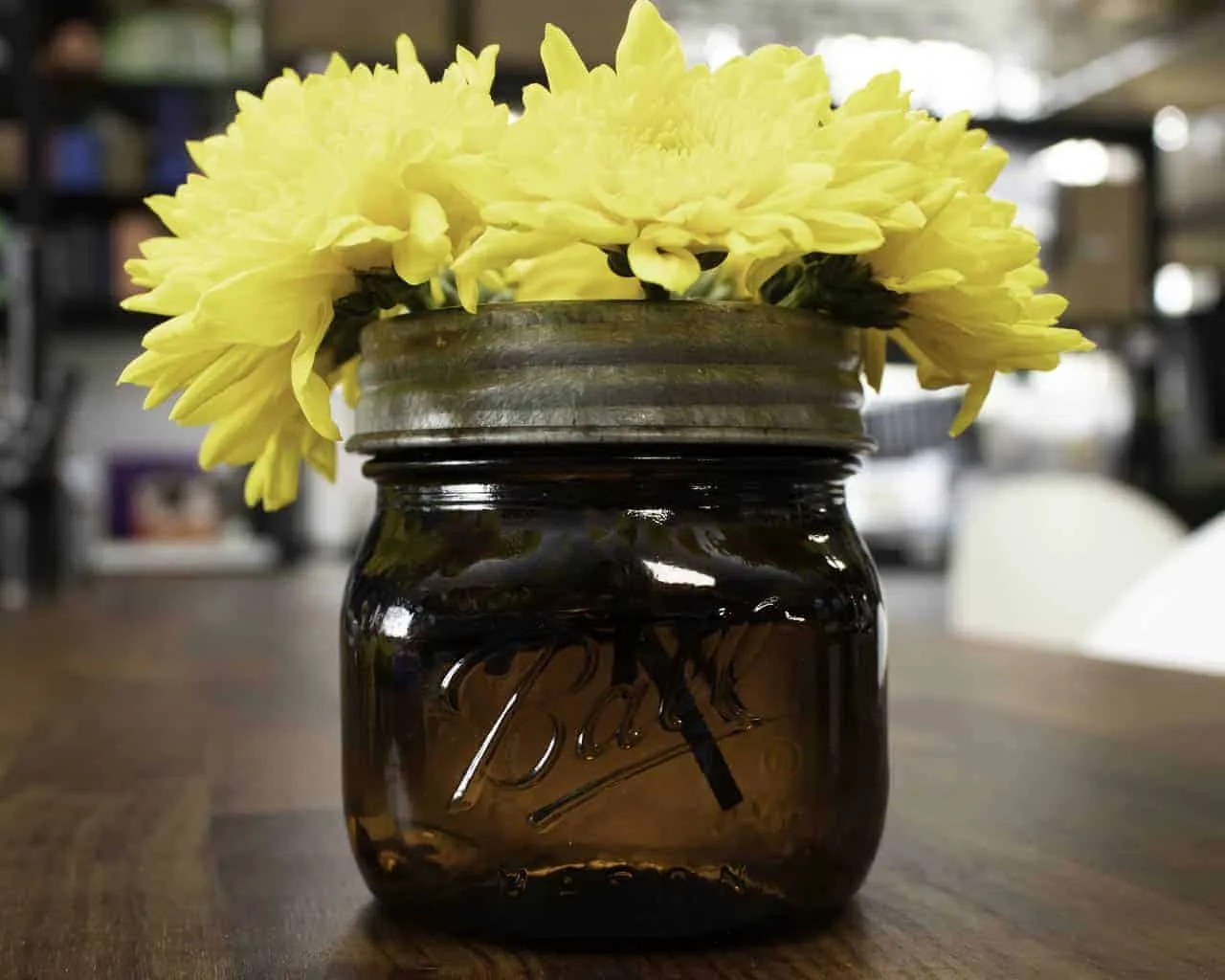 Galvanized Metal Flower Organizer Frog Lid for Mason Jars